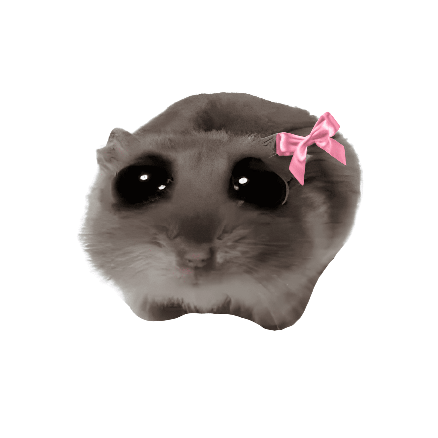 Sad Hamster Meme 🐹🎶😔